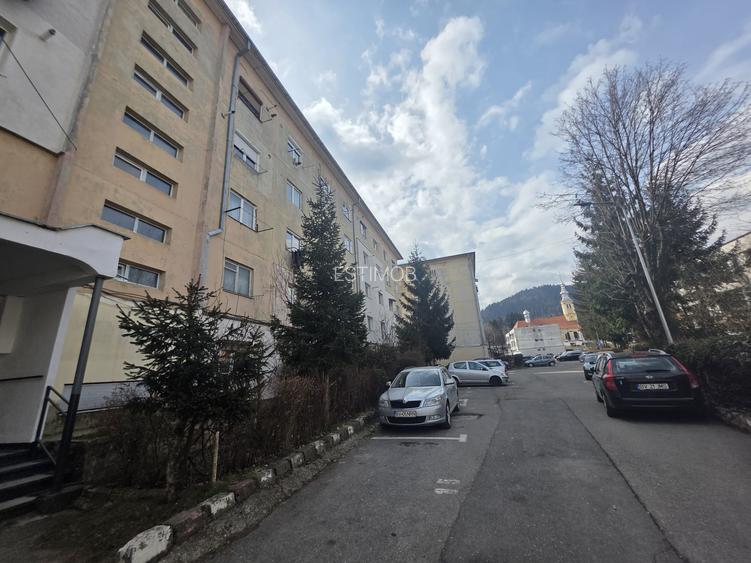 Vand camera de camin Electroprecizia - 12