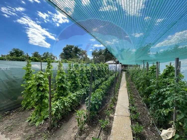 Casă  str. Progresului , Sebes, destinatie : uni/multifamiliala - 12