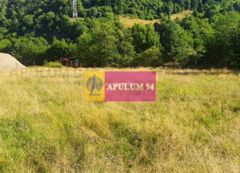 Teren Județul Vâlcea - Brezoi, Valea lui Stan - 38