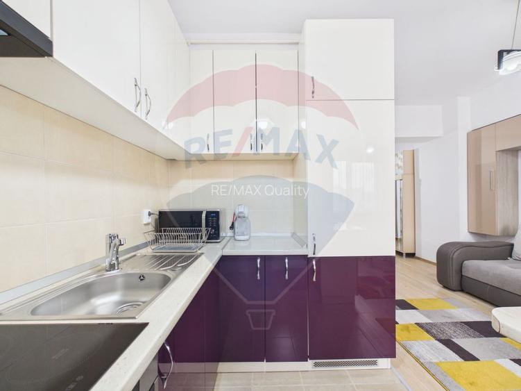 Garsoniera spatioasa de vanzare in zona P-ta Alba Iulia - 15