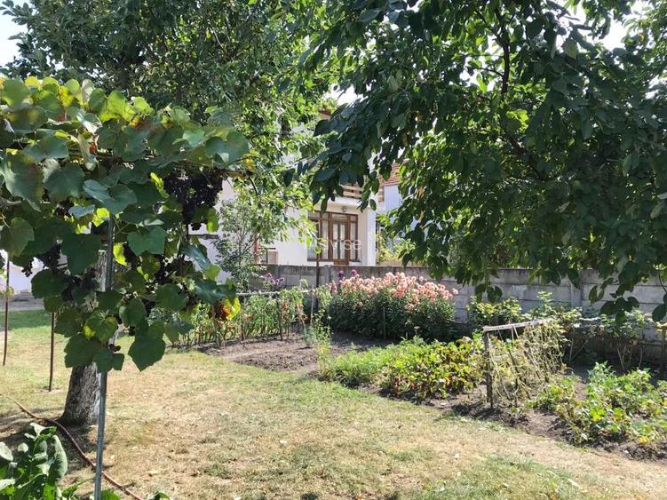 Casa Vanzare Ultracentrala, Multiple Destinatii - 26