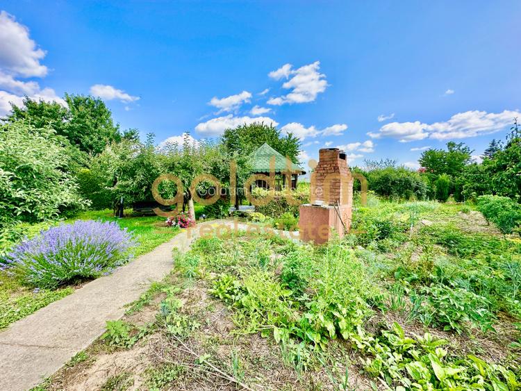 VILA INDIVIDUALA/TEREN 2000MP/VEGETATIE MATURA/CURTE AMENAJATA - 37