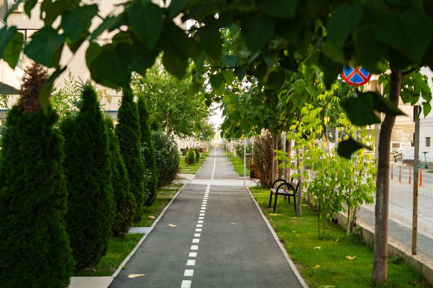 3 CAMERE | PIPERA | IVORY | RESIDENCE | ROND OMV | LUX | PARCARE - 21