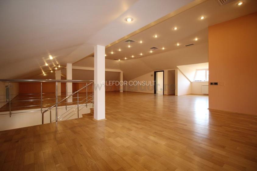 Vila Individuala de Inchiriat in Zona Iancu Nicolae - 11