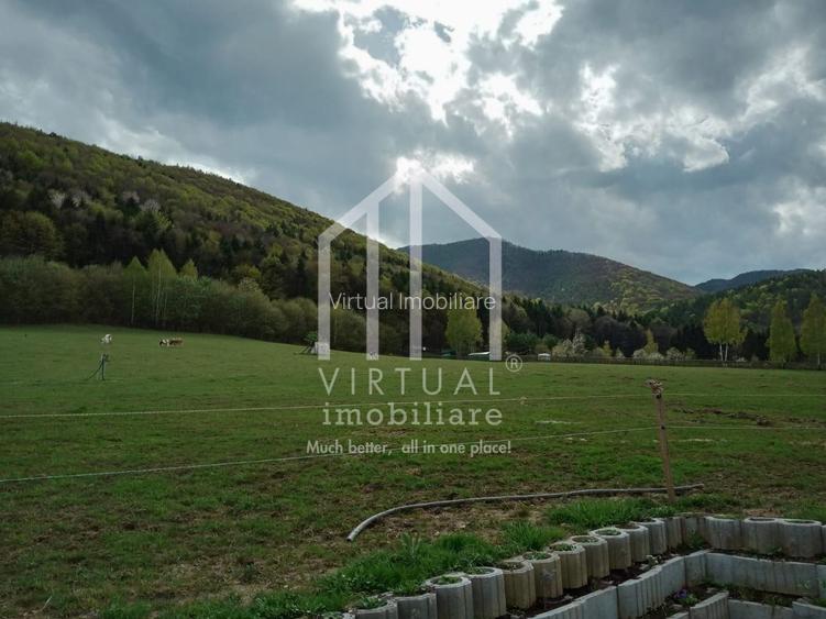 Teren intravilan de vanzare in Tocile, 3862 mp, priveliste spre padure - 7