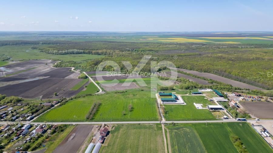Black Angus Farm with authorized Slaughterhouse - 5