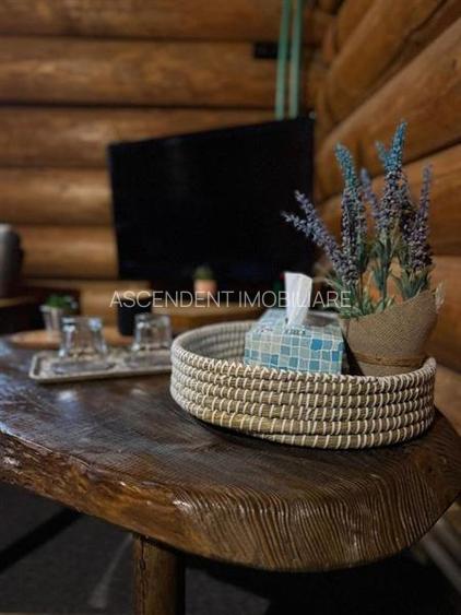 FILM!Resedinte montane,mobilate,echipate, jacuzzi,piscina,pretios areal,Sambata - 12