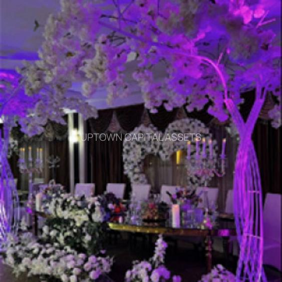 Restaurant Ballroom | Casa Luminita | 5 saloane | Pallady - 10