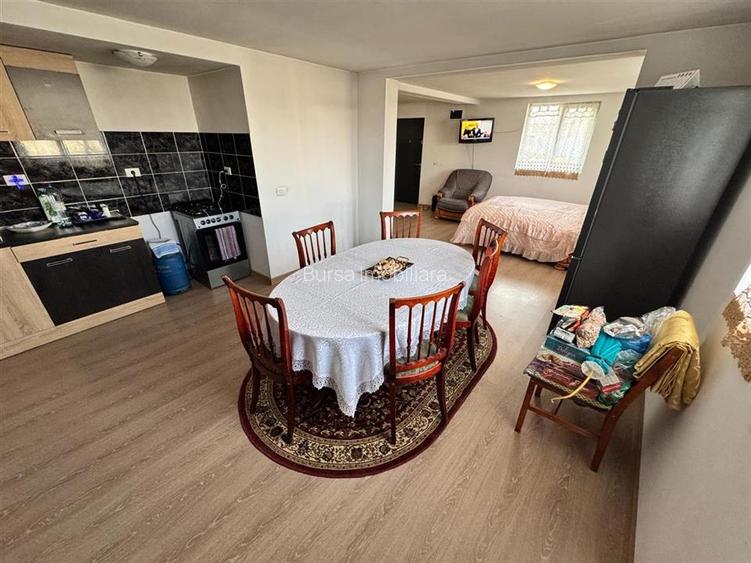 CASA DE VANZARE PANCIU - 13