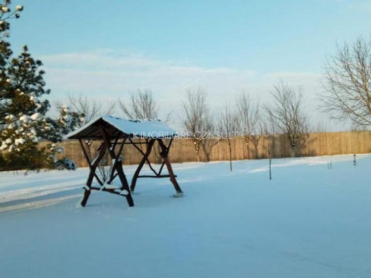 Ciopani vila 5 camere teren 4000 mp - 13