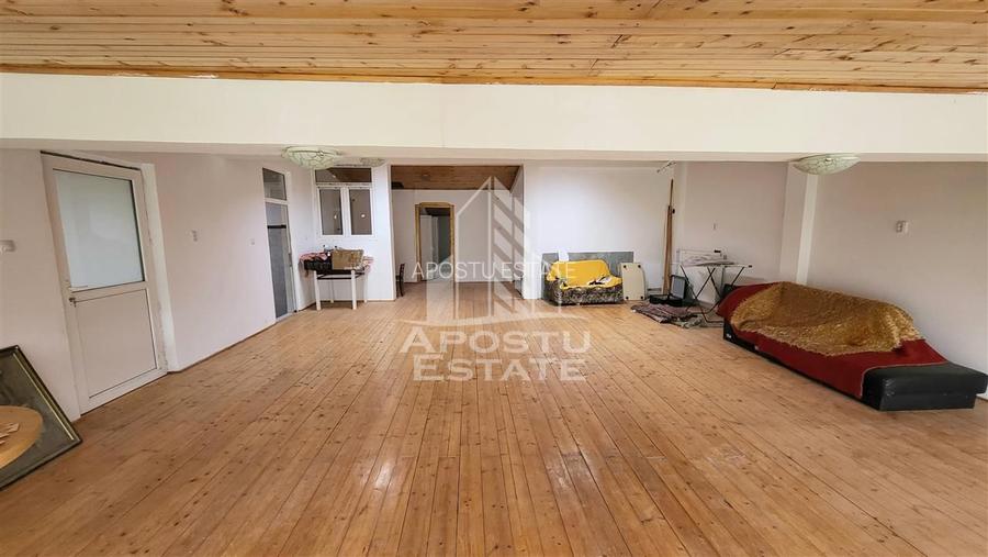 Casa ideala pentru birouri/alte activitati Mehala - 15