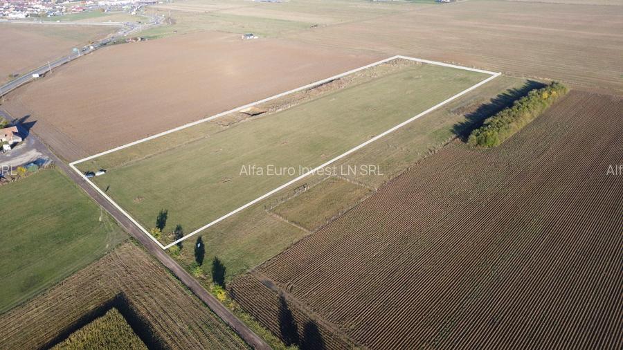 Proiect Rasnov Teren Intravilan, 45 de loturi- Investitie! - 6