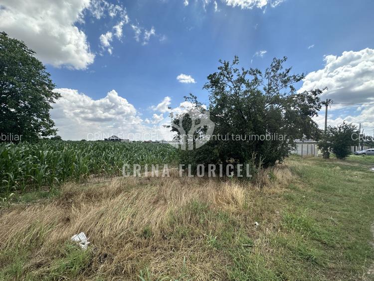 Vanzare teren intravilan 2965 mp - deschidere 26 m - str Gloriei - 1 Decembrie - 3