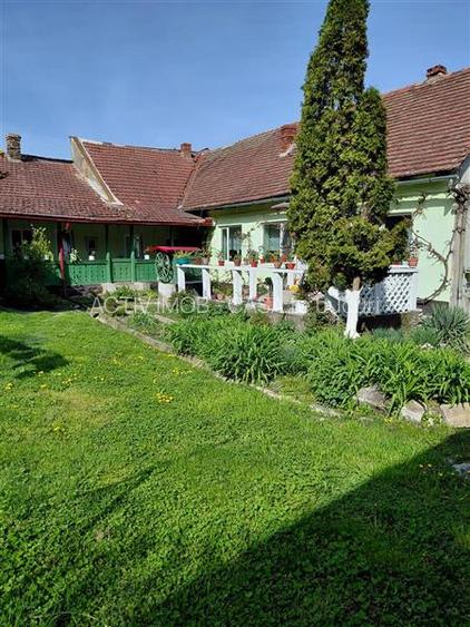 Bocsa Montana, Casa mare la strada principala - 3