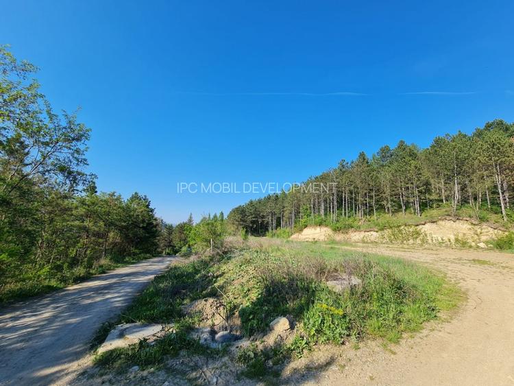 Teren intravilan de vanzar,  zona Sf Ion- Faget - 6