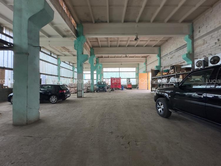 Hala 640mp, in fata la Antibiotice - 2