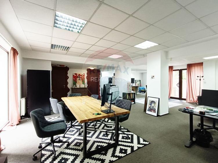 Vanzare Spatiu Comercial / Birou, Str. Popa Tatu -Cismigiu, Investitie - 5