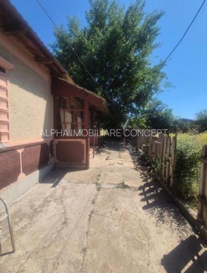 23 August teren intravilan 1400 mp + casa 5 camere central - 2