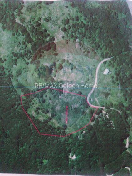 Teren Lepsa Soveja DN2 L - 3