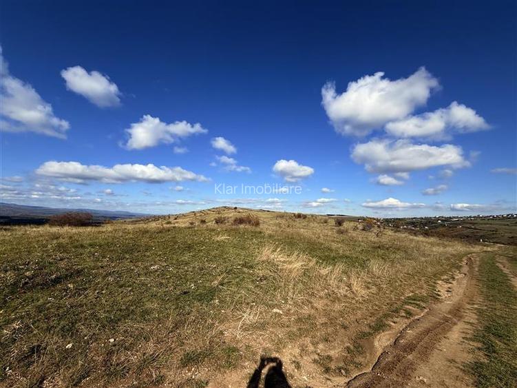 Comision 0% Oportunitate investitie teren extravilan  Salicea - 4