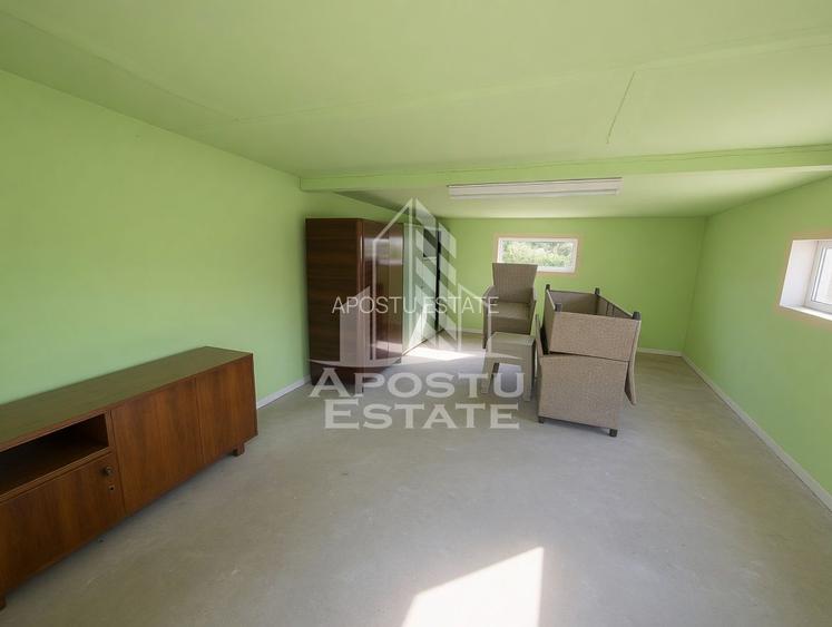 Casă renovată complet, cu garaj și anexe, în Satchinez, Timiș - 15