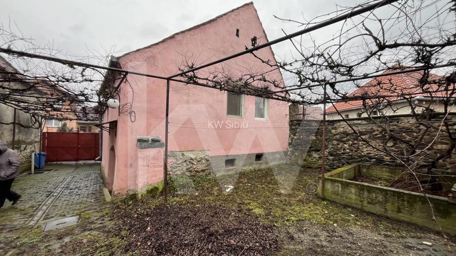 Traditie si potential: casa cu sura, utilitati complete, Turnu Rosu - 9