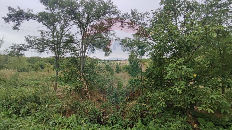 Teren 2.341 mp Uileacu de Munte front 26 ml la drum asfaltat - 15