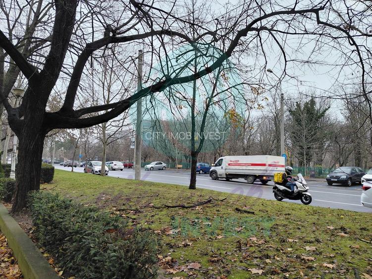 3 camere - Campia Libertatii | ParkLake & Parcul IOR vis-a-vis - 9