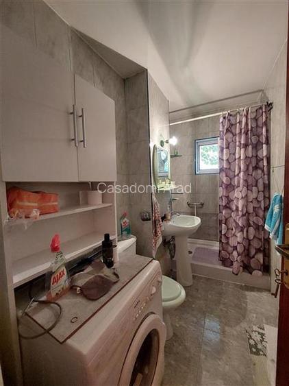 Apartament parter, Micalaca, pretabil birou sau cabinet - 7