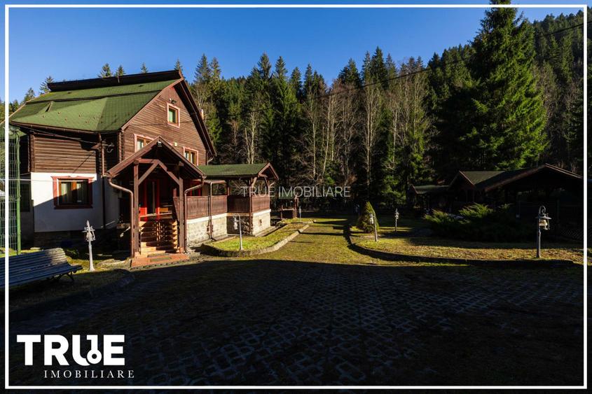 Cabană 210 m² + teren 1400 m² | Sălard, Mureș - 3