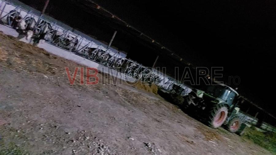 Ferma zootehnică funcțională, populată cu peste 200 capete bovine, aproape de Sâ - 5