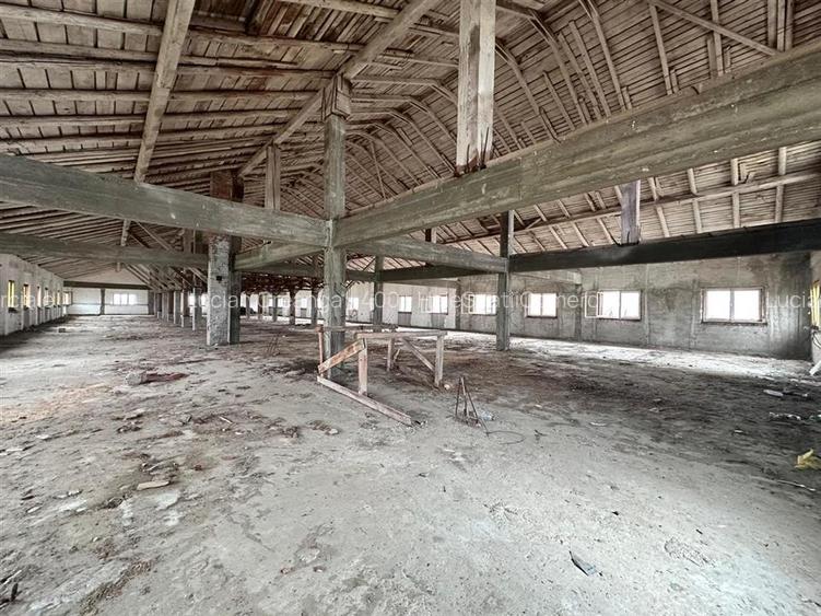 Hala, spatiu comercial, vad, de la 423mp la 1744mp, Vama Albita - 7
