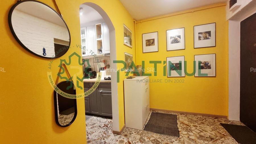 Apartament 2 camere cu balcon, renovat complet, Terezian - 9