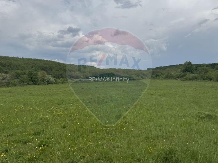 Proprietate OFF-GRID 5,76 Ha. Casa tradiționala lemn. Limită Cluj - 8