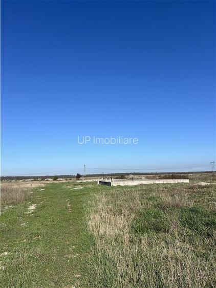 TEREN INTRAVILAN, CIHEI - 8