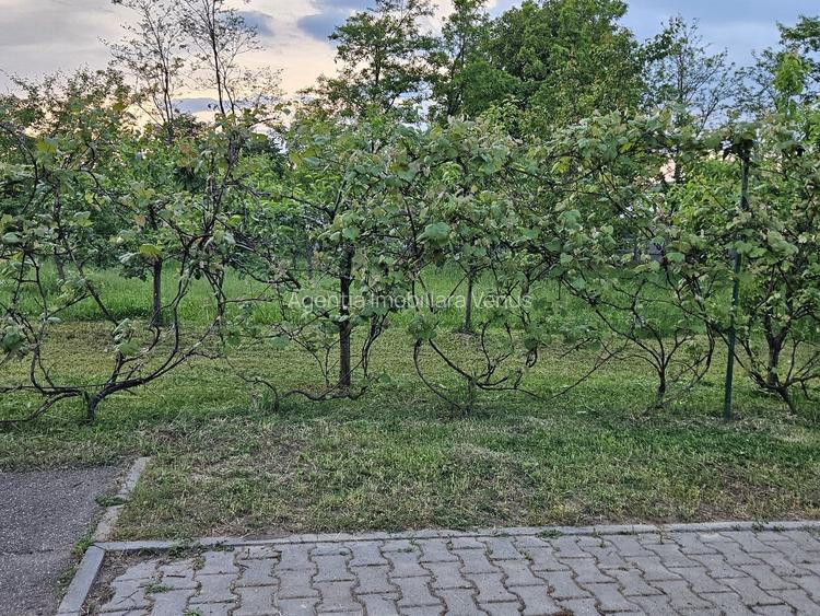 Proprietate deosebita la Vorona pe 1 ha de teren - 10