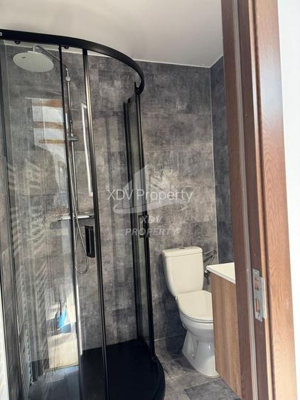 Pensiune/ Vila Valea Avrigului - 13