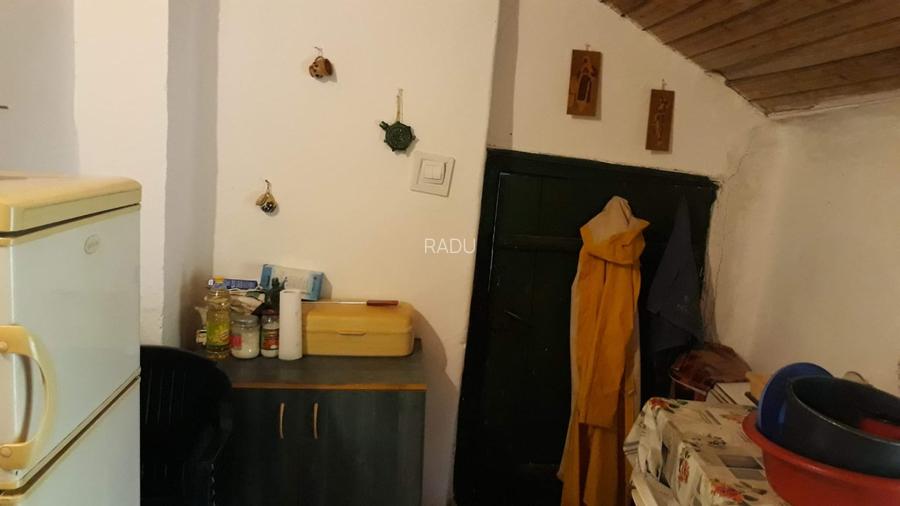 Casă locuibilă cu 1400 mp teren, vie pe rod și livadă – aproape DN3 – Ștefănești - 5