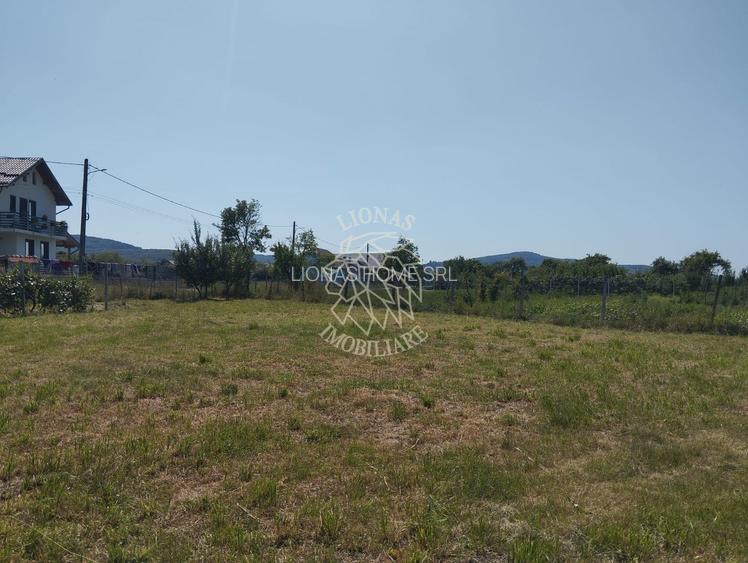 Casa 110 mp 7 incaperi-teren 3850 mp-anexa-Dorolea, 15 km de Bistrita - 2