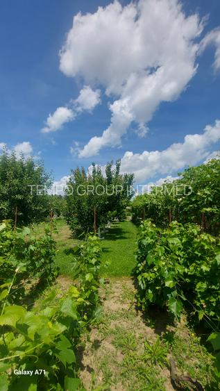 Snagov- Gruiu- Santul Floresti -Proprietate cu stil pentru oameni gospodari! - 32