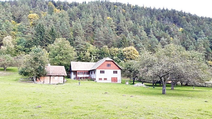 Teren superb de 16240mp, parcelabil, in Bran la intrare in Moeciu de Jos - 14