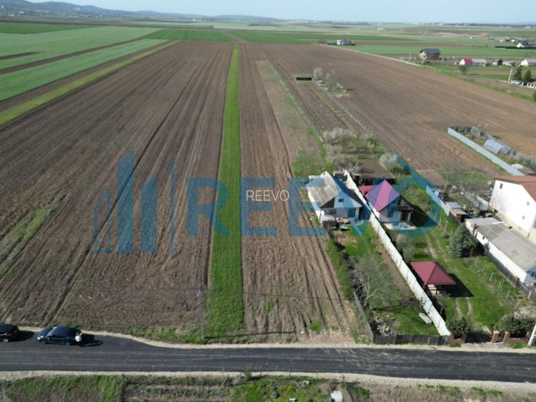 Teren de vânzare, Com. Nicolae Bălcescu, Jud. Bacău - 3