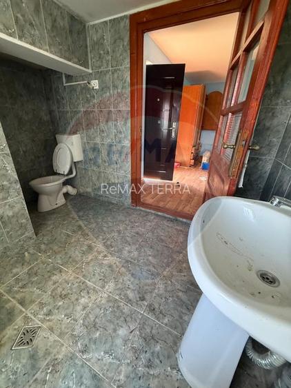 Casa de vacanta cu 8300 mp teren, de vanzare in Preluca Noua!! - 7