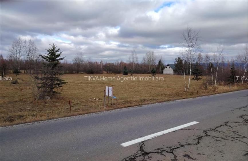 Teren extravilan in Borzont, langa DN13B - 3