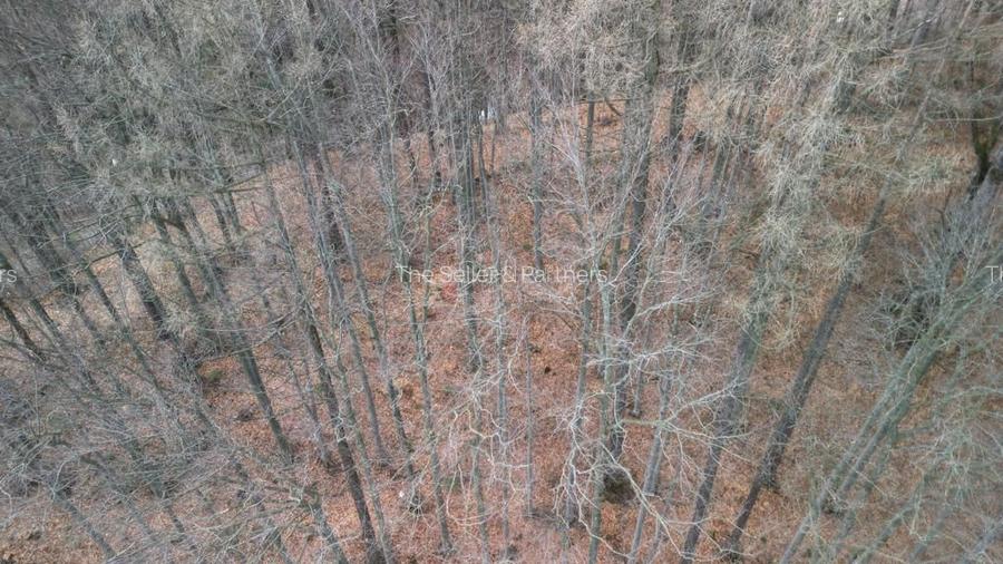 Teren in vecinatatea Castelului Peles - SINAIA - 10