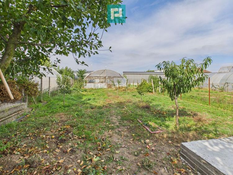 Casă cu 3 camere și teren generos, Pâncota - 14