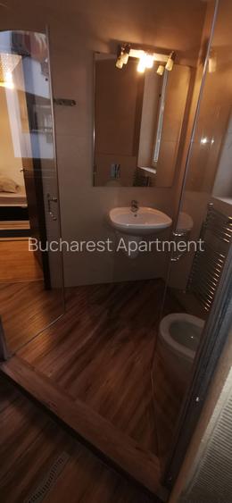 Duplex 160 mp utili//2 nivele//rezidential sau office//Herastrau-Caramfil - 15