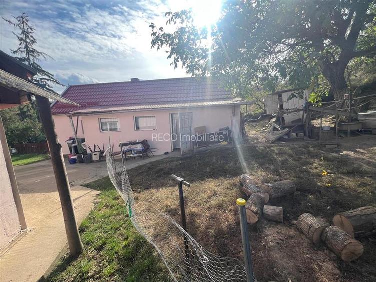 RECO, Casa cu 9168 mp teren intravilan, Sistera, Cetariu, Aproape de Oradea - 4