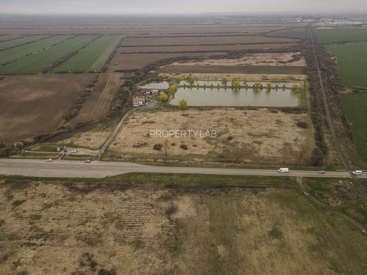 Teren extravilan in Ineu - 11