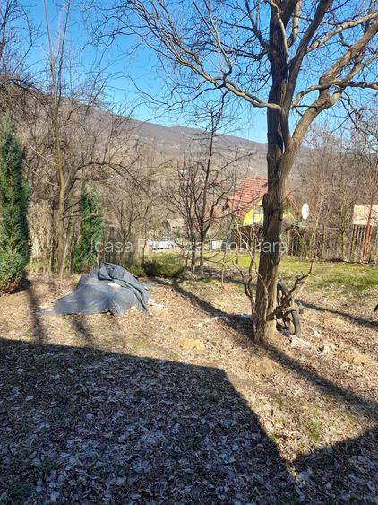 Spre vanzare cabana+ teren intravilan 1050mp pretabil casa de vacanta/locuinta - 3